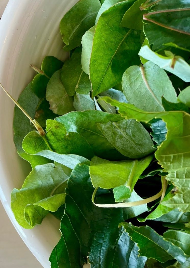 Natural healing and Ayurvedic lifestyle